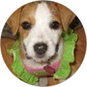 ChIJoVteFuhD6oARGeTmau 8c6Q 18d896addde72124a6bc023433b8f3bd