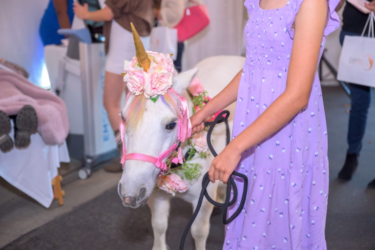 MAB2024---mini-horse